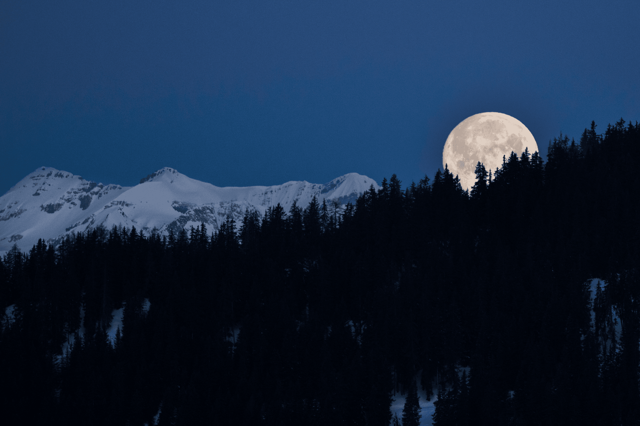 Pink Supermoon
